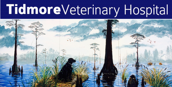 Tidmore Veterinary Hospital logo