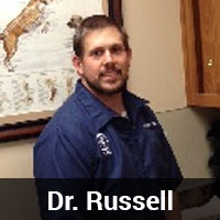 Dr. Russell