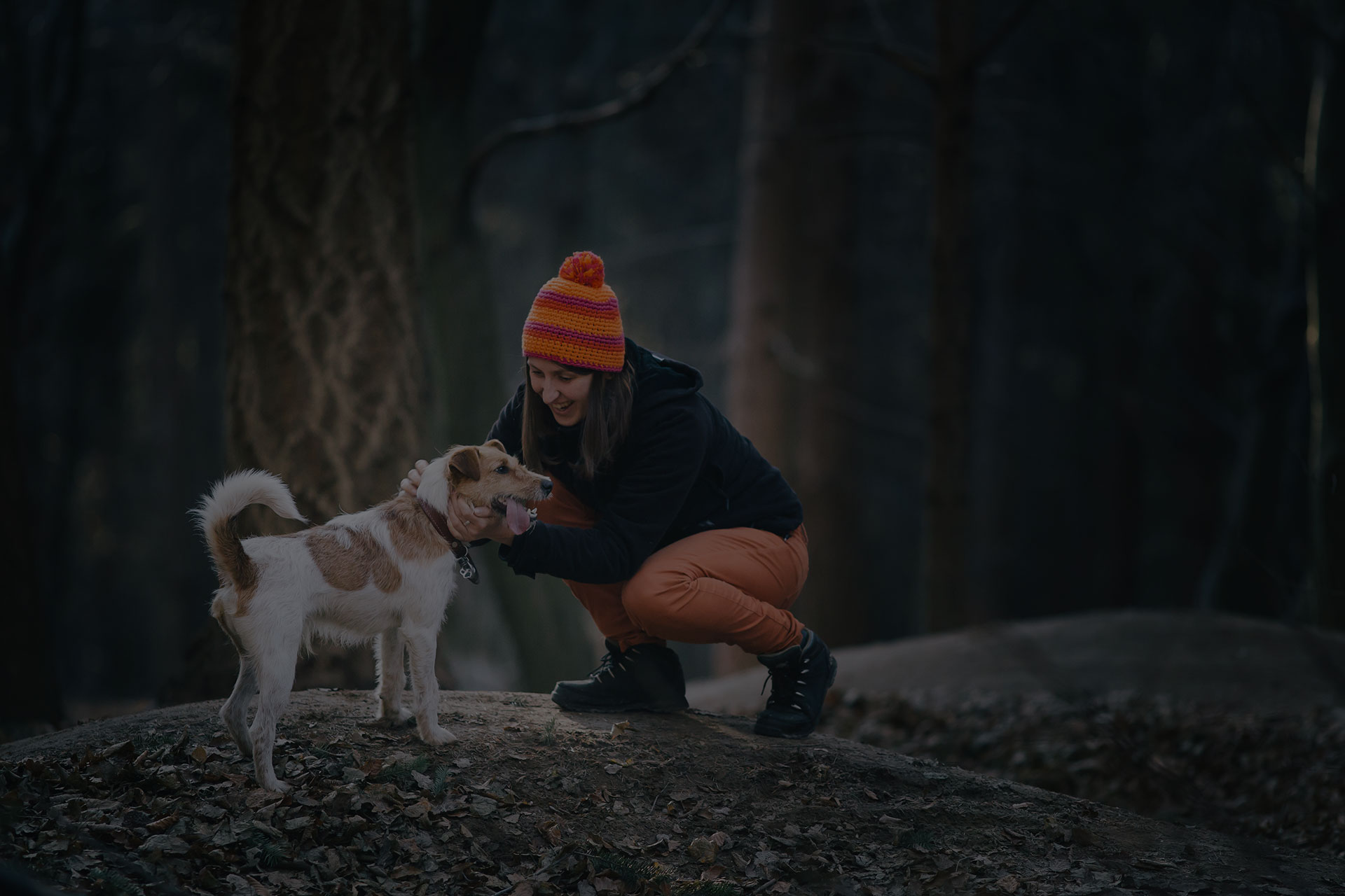Young woman playing with her fox terrier in the forest
